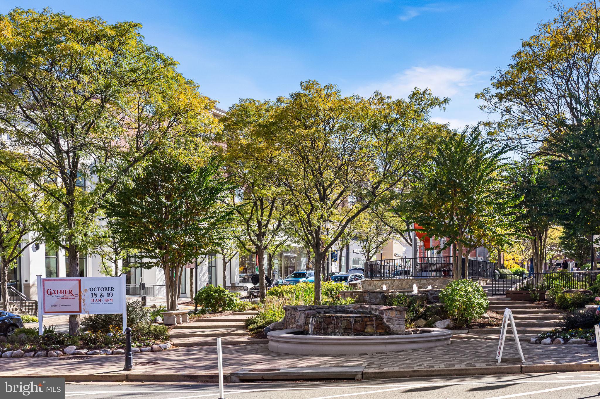 1020 North Highland Street, Unit 621 Arlington, VA 22201 - Photo 43 of 50 a street view with large trees