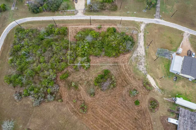 a view of a yard with plants
