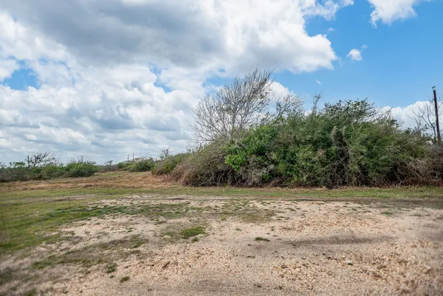 a view of a field with an ocean