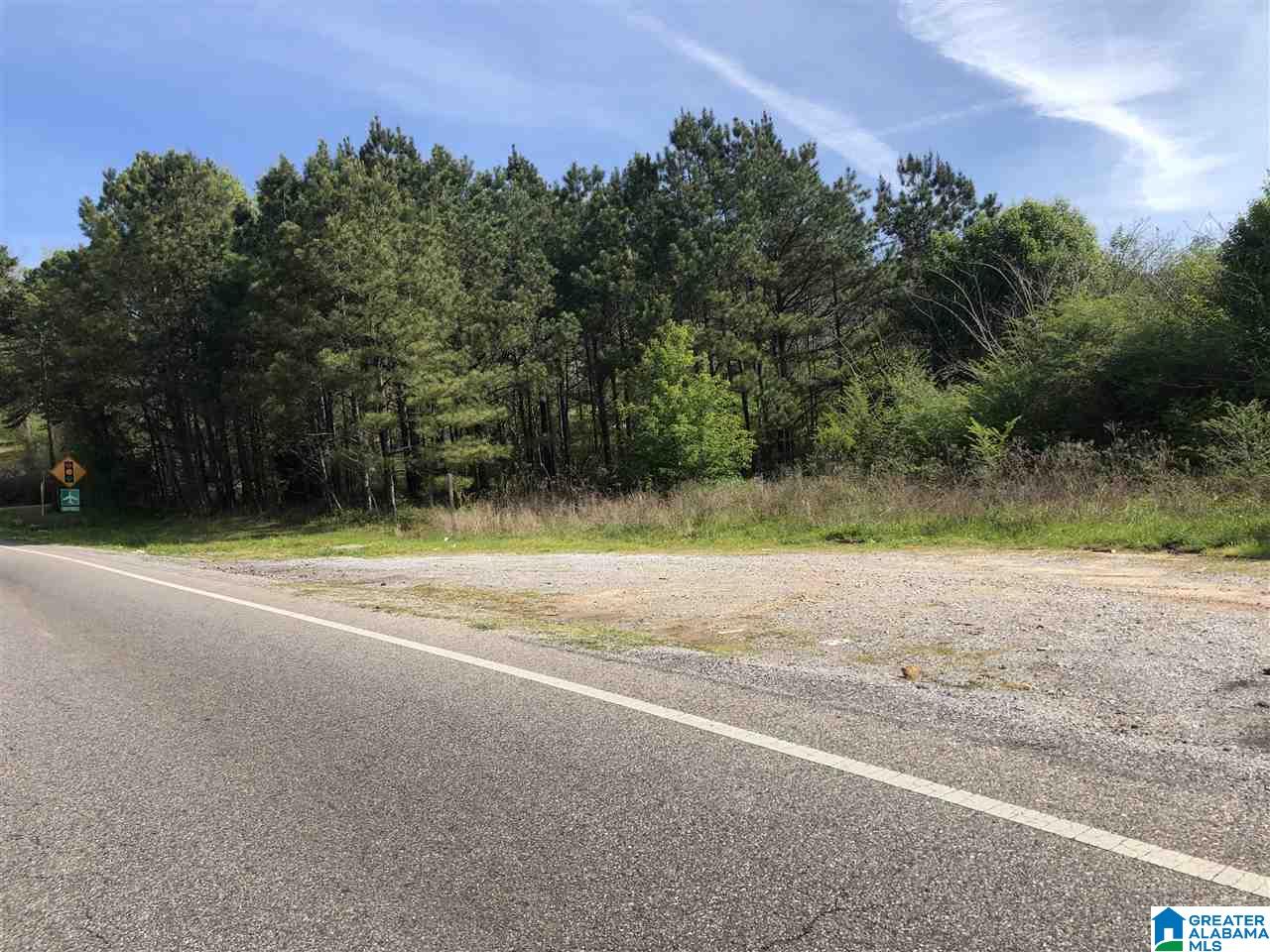 11-acres Morgan Road, Unit 11 ACRES Helena, AL 35022 - Photo 4 of 11