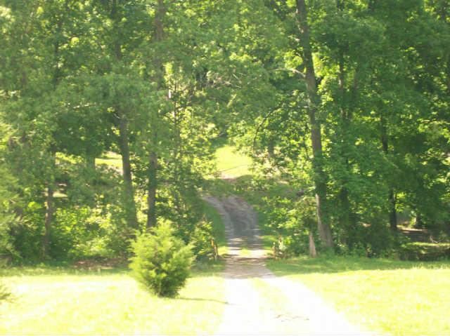 412 S Road Cottontown, TN 37048 - Photo 4 of 20 Drive crosses creek!
