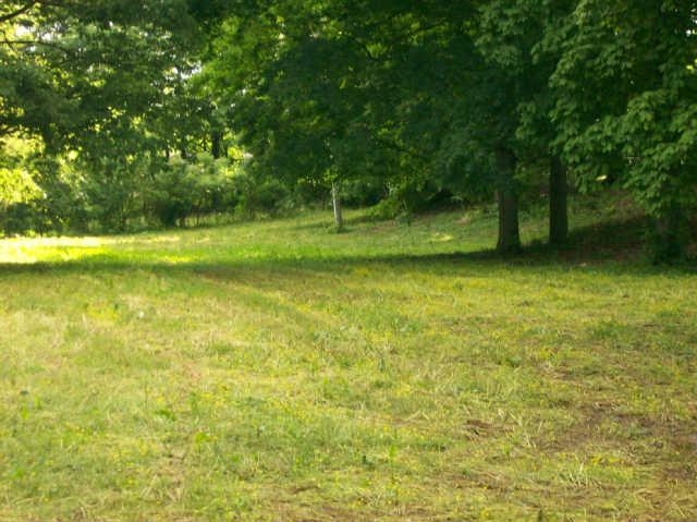 412 S Road Cottontown, TN 37048 - Photo 5 of 20 Super for Horses!