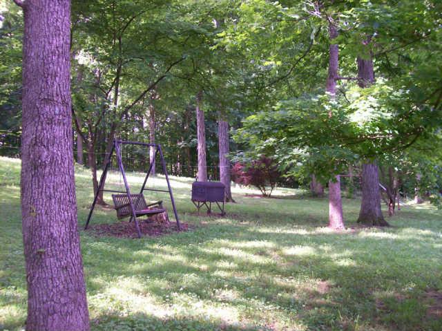 412 S Road Cottontown, TN 37048 - Photo 6 of 20 Rear yard area
