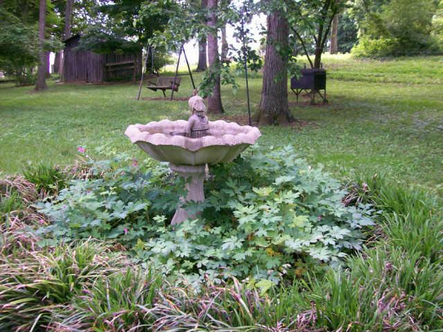 412 S Road Cottontown, TN 37048 - Photo 7 of 20 Fountain & Building stay as well!