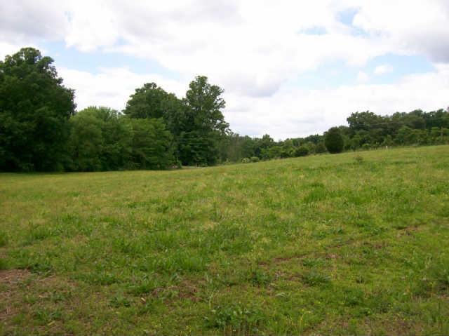 412 S Road Cottontown, TN 37048 - Photo 8 of 20 Wide open spaces as well!