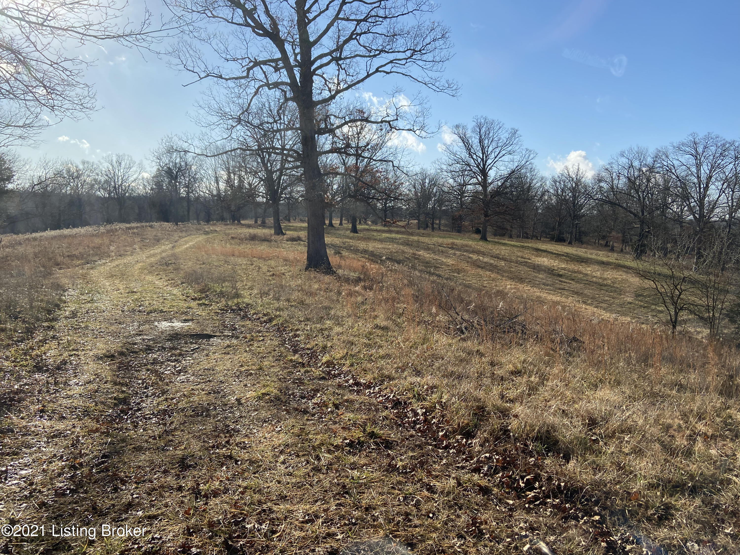 219 Joyce Ridge Road Milton, KY 40045 - Photo 23 of 29 8C1F4898-B947-48F6-BB25-D99E43FC475B