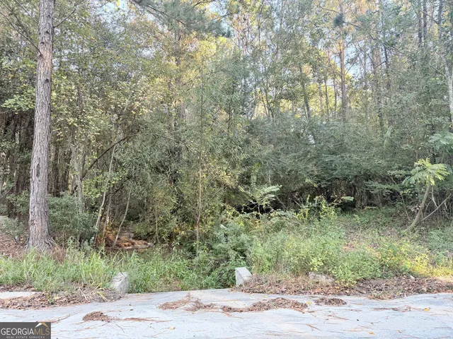 a view of a house with a lush green forest