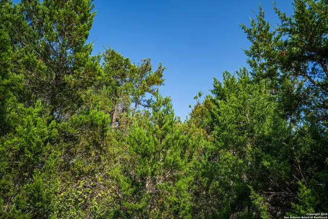 $29,999 | 1121 Sleepy Hollow Lane, Spring Branch, TX 78070