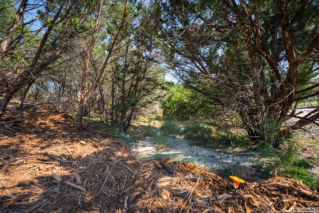 $29,999 | 1121 Sleepy Hollow Lane, Spring Branch, TX 78070