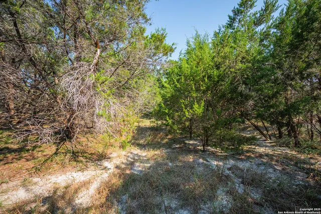 $29,999 | 1121 Sleepy Hollow Lane, Spring Branch, TX 78070