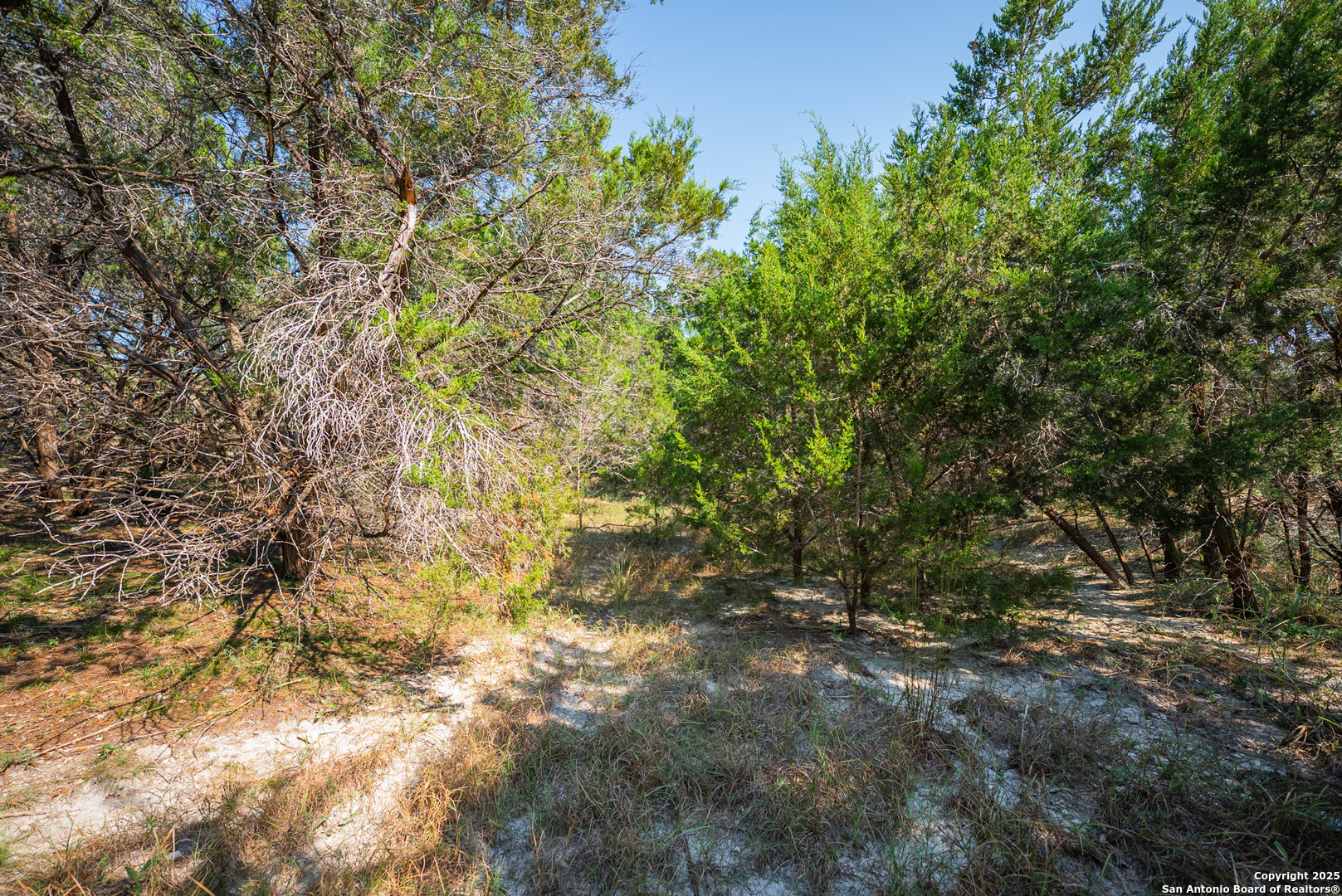 1121 Sleepy Hollow Lane Spring Branch, TX 78070 - Photo 15 of 20