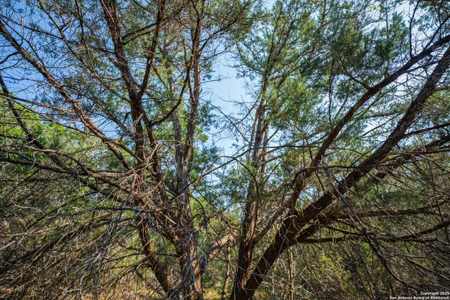 $29,999 | 1121 Sleepy Hollow Lane, Spring Branch, TX 78070