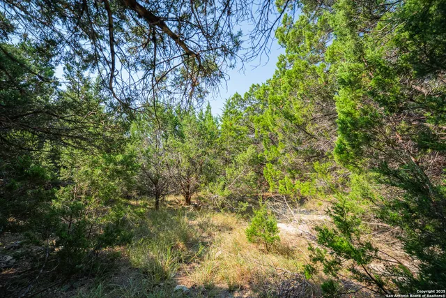 $29,999 | 1121 Sleepy Hollow Lane, Spring Branch, TX 78070