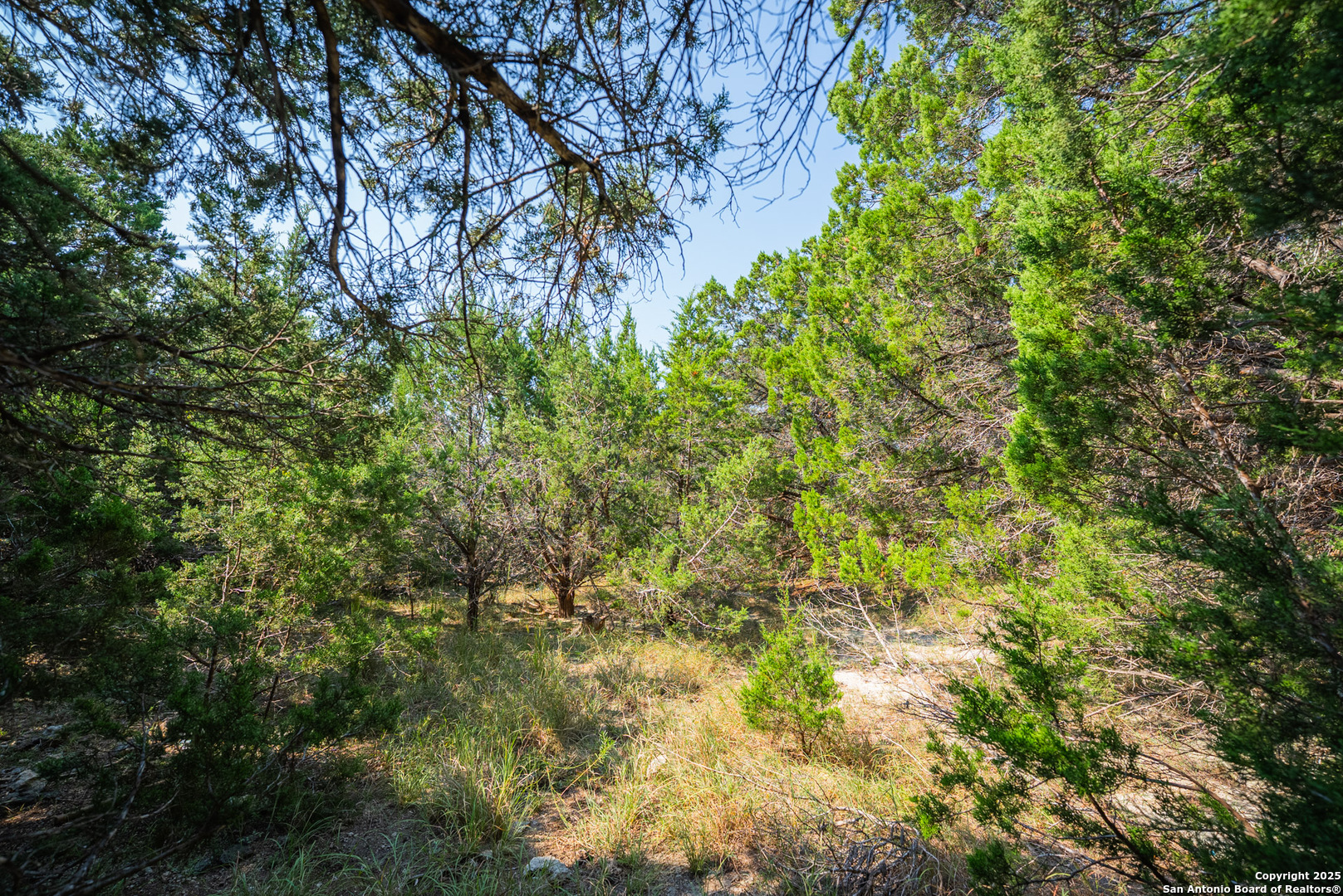 1121 Sleepy Hollow Lane Spring Branch, TX 78070 - Photo 18 of 20