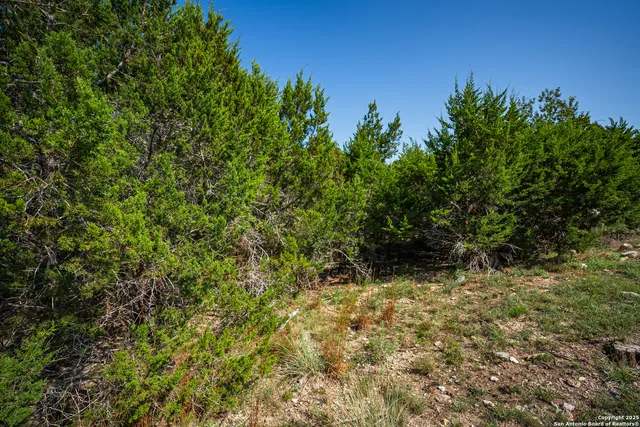 $29,999 | 1121 Sleepy Hollow Lane, Spring Branch, TX 78070