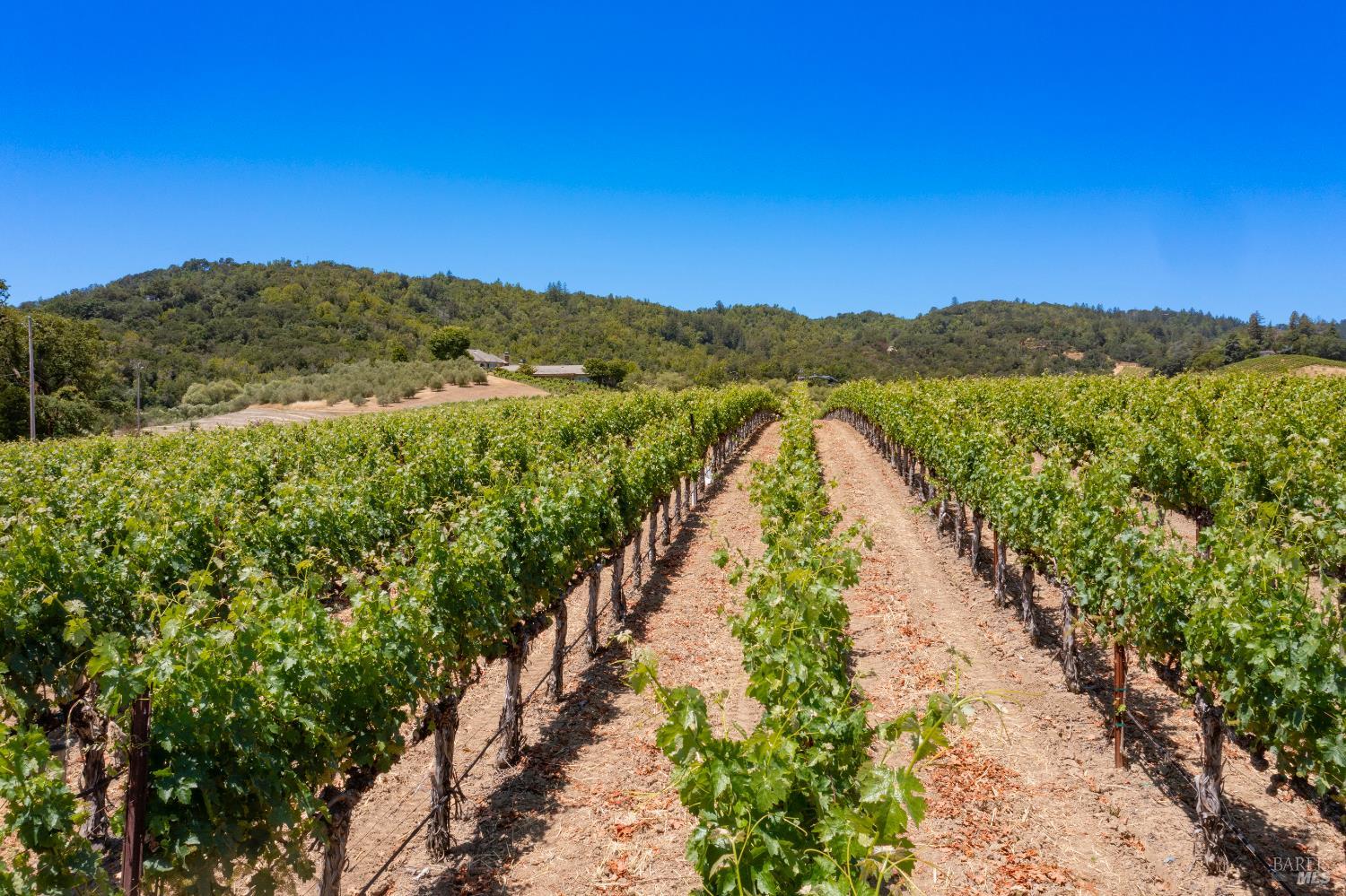 3211 Dry Creek Road Napa, CA 94558 - Photo 11 of 51