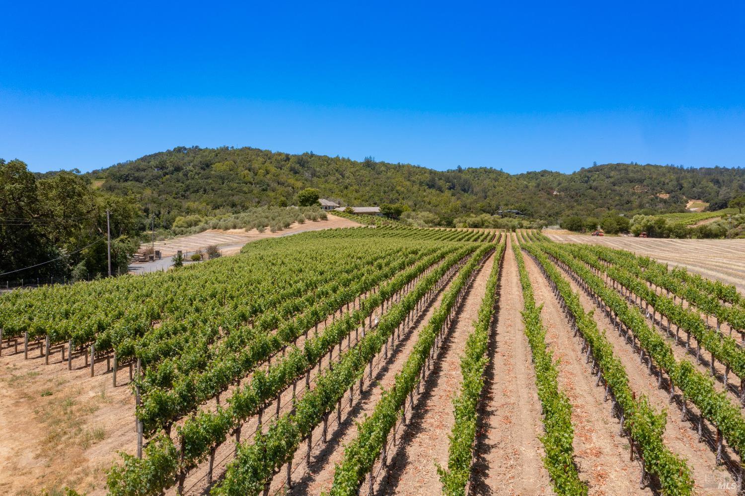 3211 Dry Creek Road Napa, CA 94558 - Photo 12 of 51