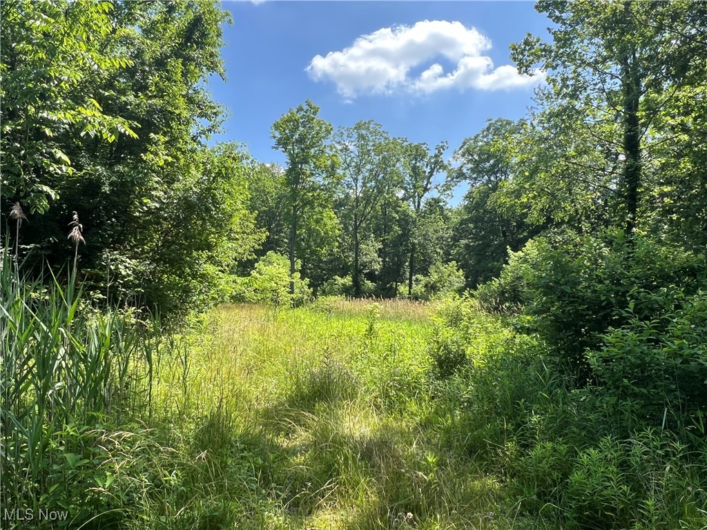 21251 Pitts Road Wellington, OH 44090 - Photo 10 of 14 View of tree filled area