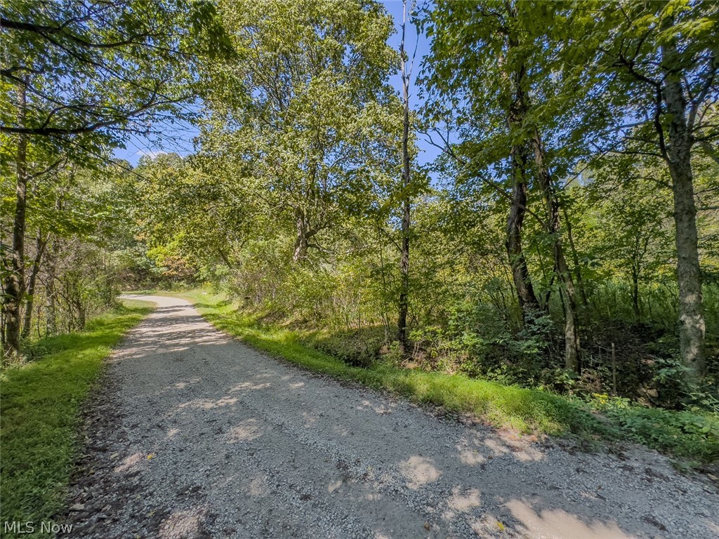 0 Brewer Road Cadiz, OH 43907 - Photo 33 of 37 View of dirt / gravel road featuring a wooded view