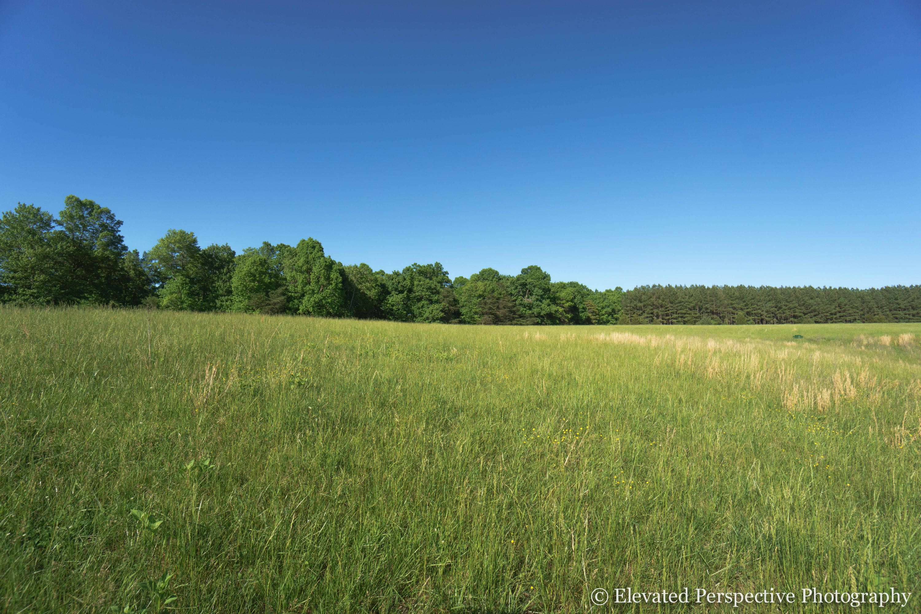 1431 Dillards Hill Road Union Hall, VA 24176 - Photo 11 of 27 Pasture Land