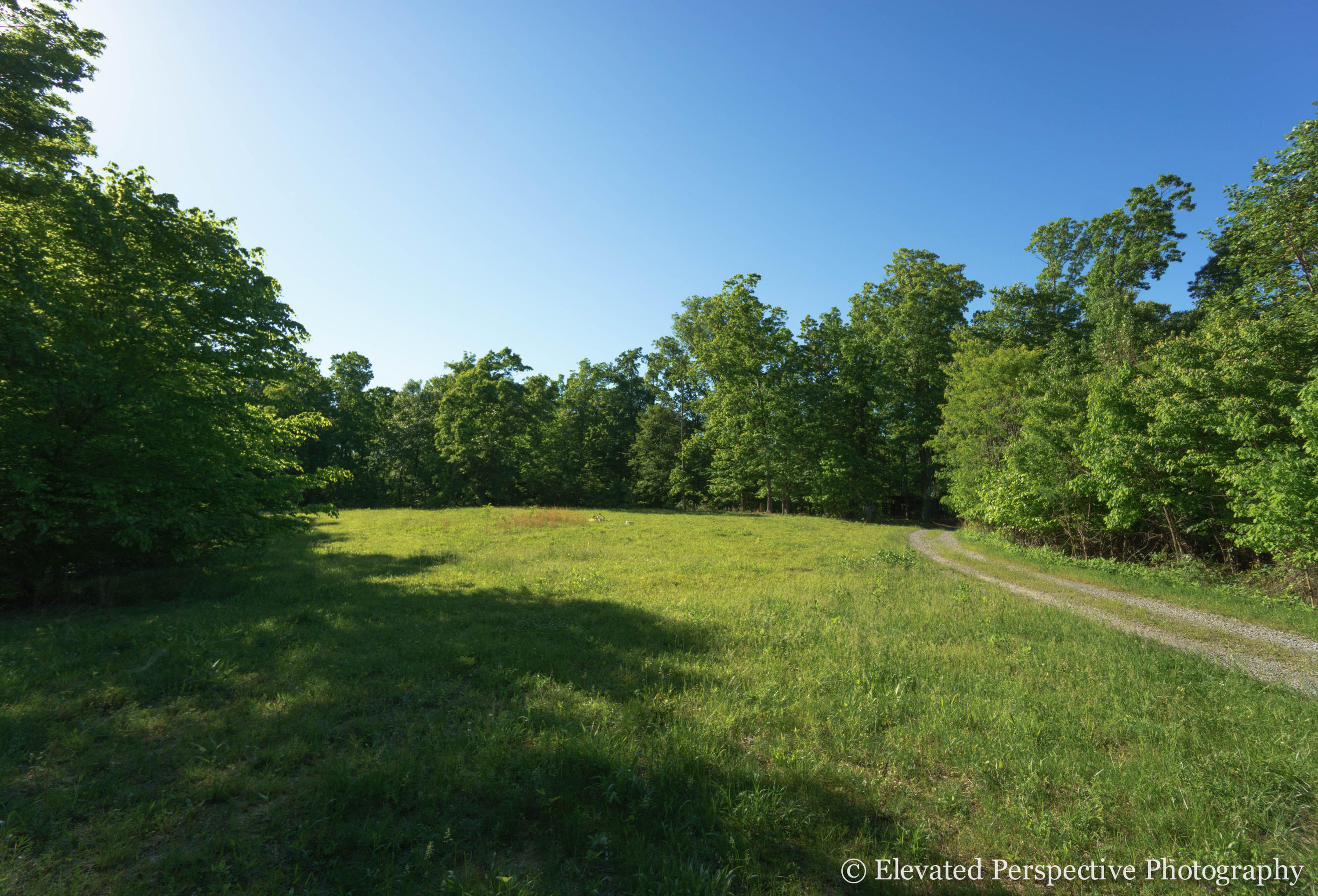 1431 Dillards Hill Road Union Hall, VA 24176 - Photo 12 of 27 Mix of Woods and Pasture
