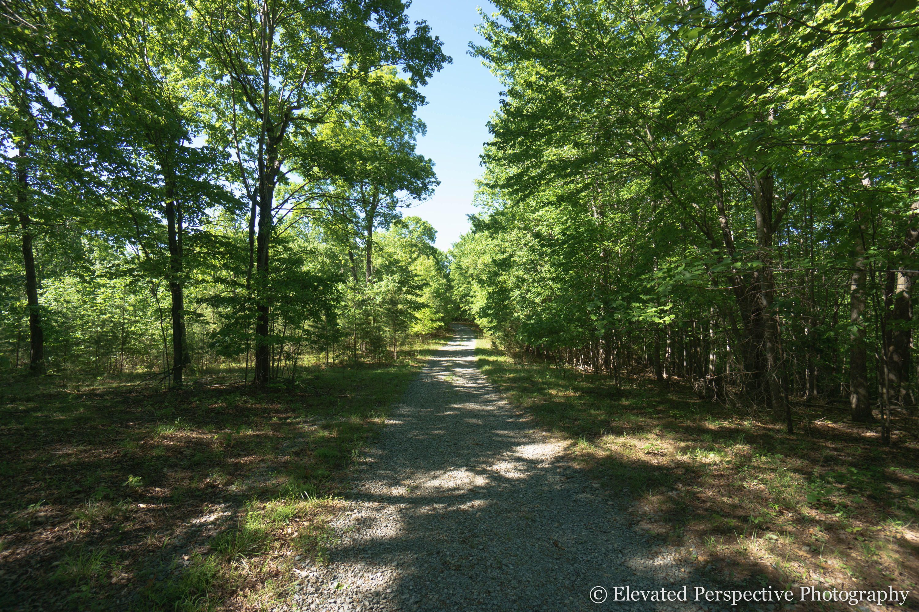 1431 Dillards Hill Road Union Hall, VA 24176 - Photo 13 of 27 Driveway