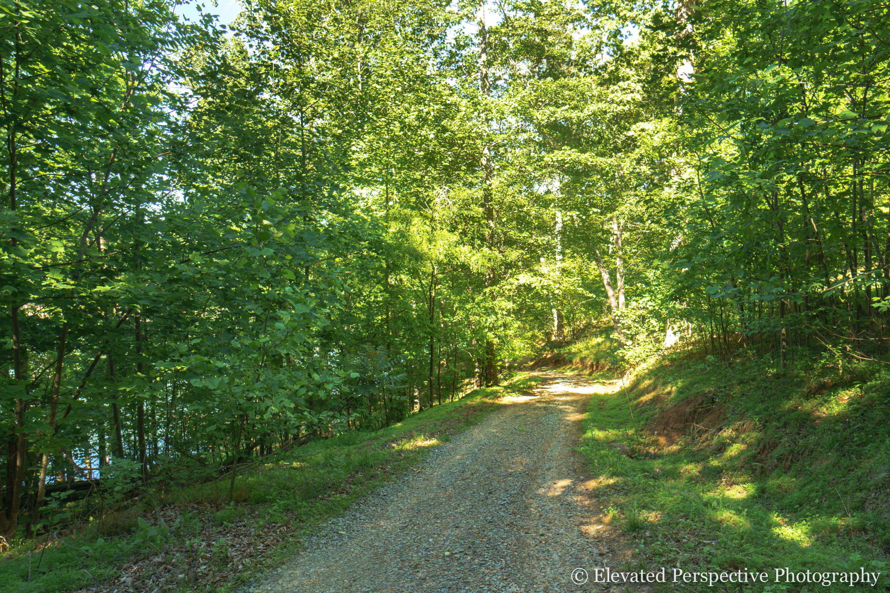 1431 Dillards Hill Road Union Hall, VA 24176 - Photo 22 of 27 Drive Down to the Lake