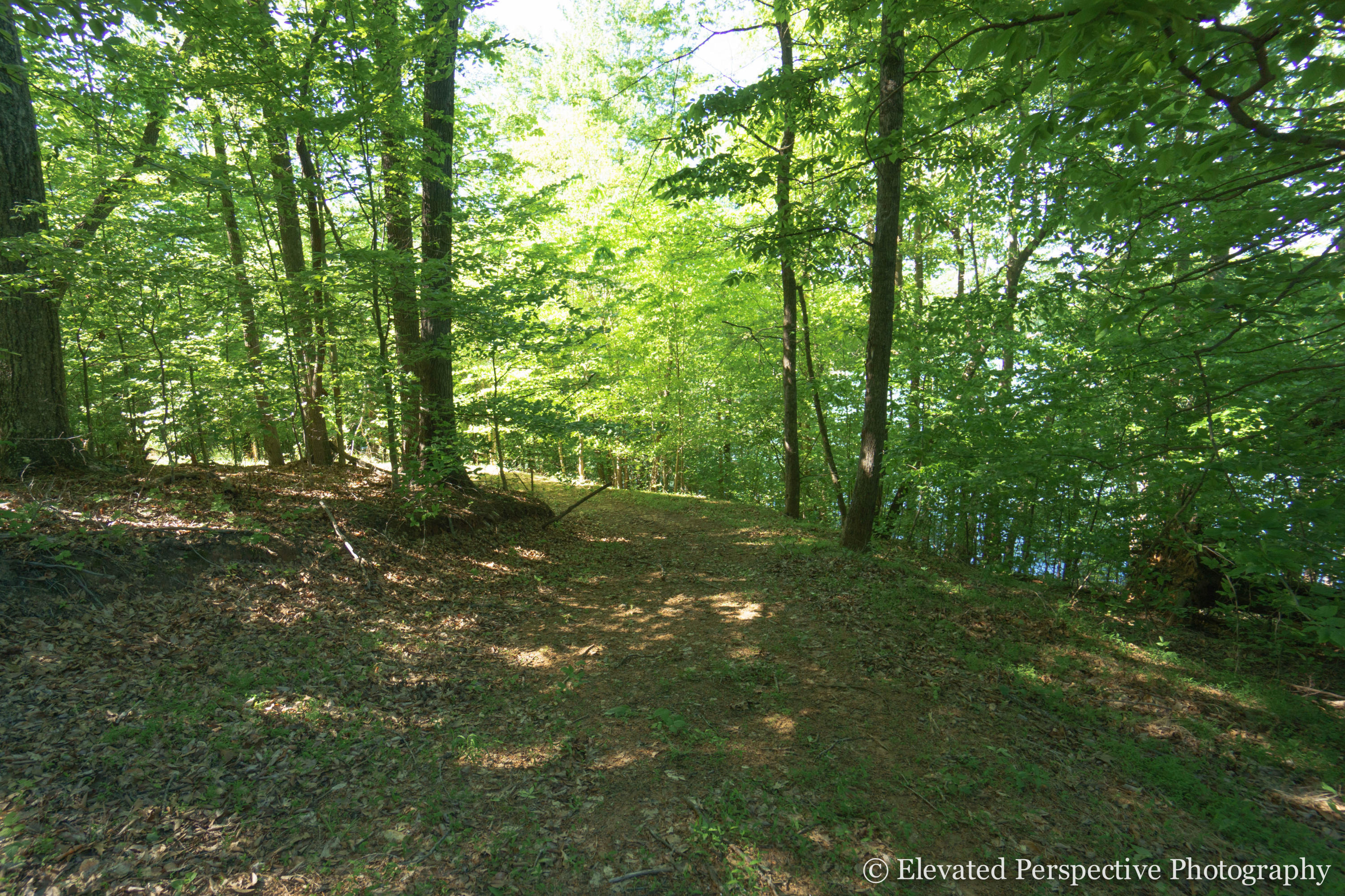 1431 Dillards Hill Road Union Hall, VA 24176 - Photo 26 of 27 Potential for Development