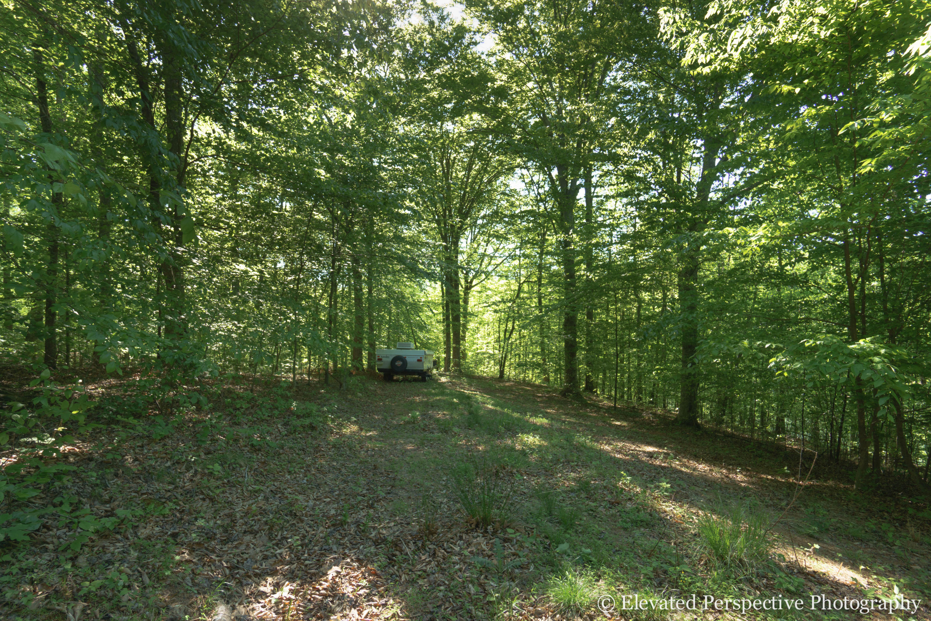 1431 Dillards Hill Road Union Hall, VA 24176 - Photo 27 of 27 Potential for Devleopment