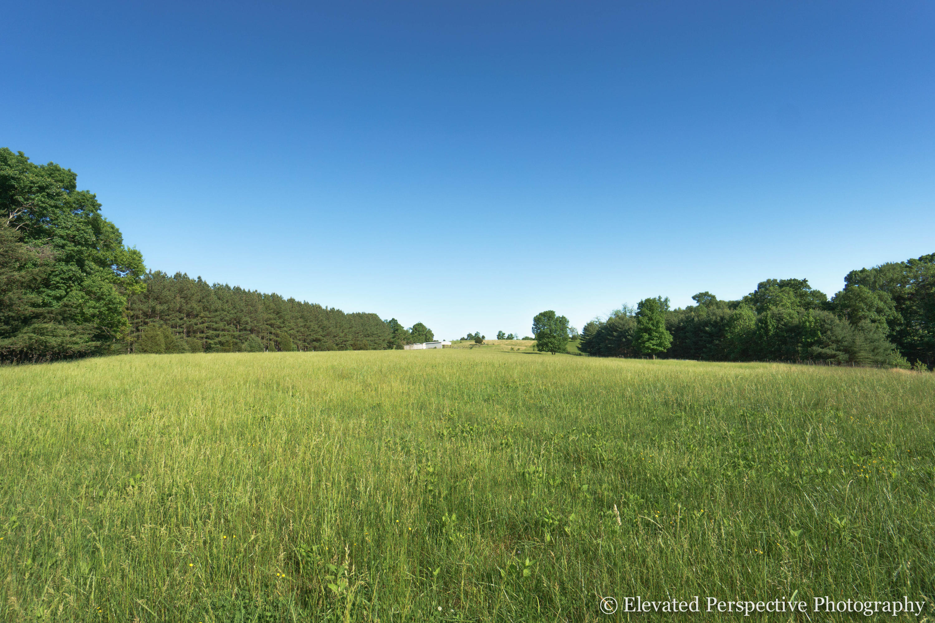 1431 Dillards Hill Road Union Hall, VA 24176 - Photo 5 of 27 Mix of Woods and Open Pasture