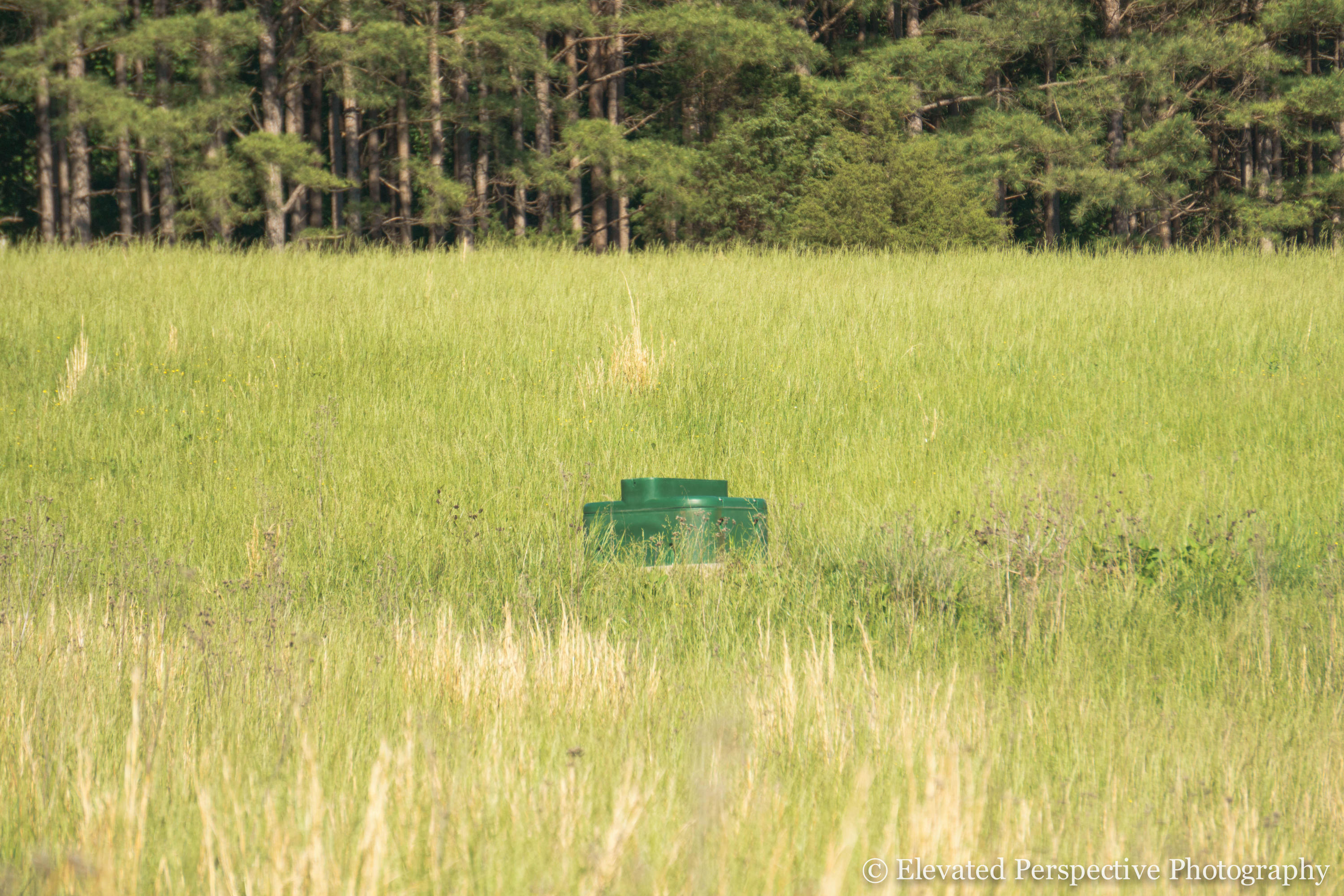 1431 Dillards Hill Road Union Hall, VA 24176 - Photo 8 of 27 Waterers