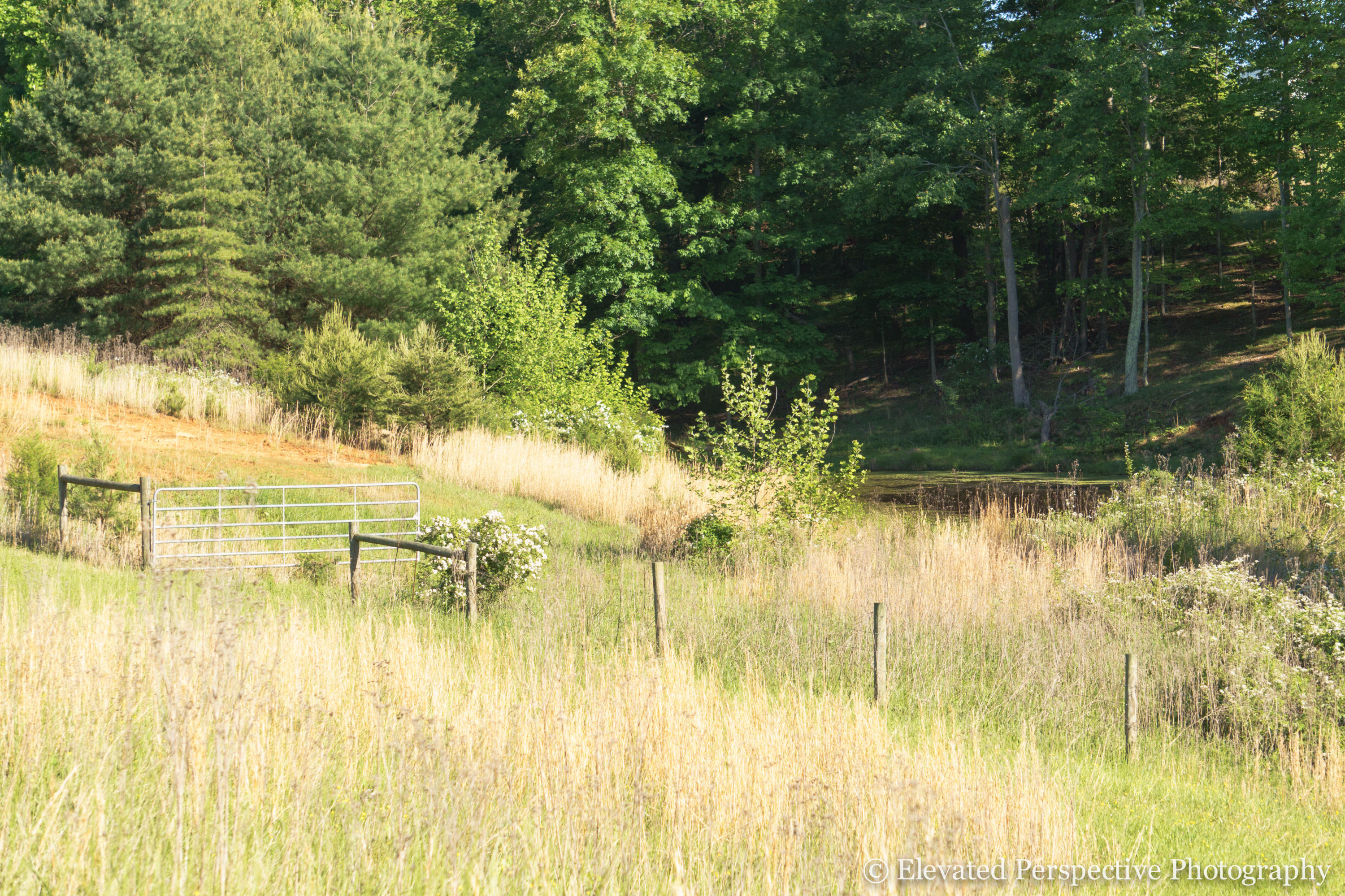 1431 Dillards Hill Road Union Hall, VA 24176 - Photo 9 of 27 Fenced Pond Site