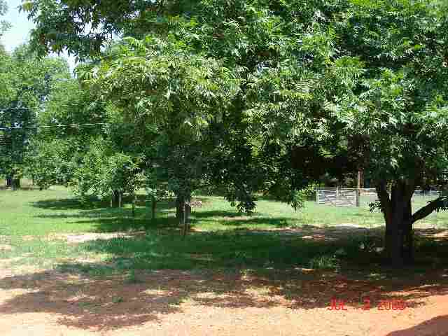 208 Reedy Fork Road Greenville, SC 29605 - Photo 3 of 4 Gallery Image 3