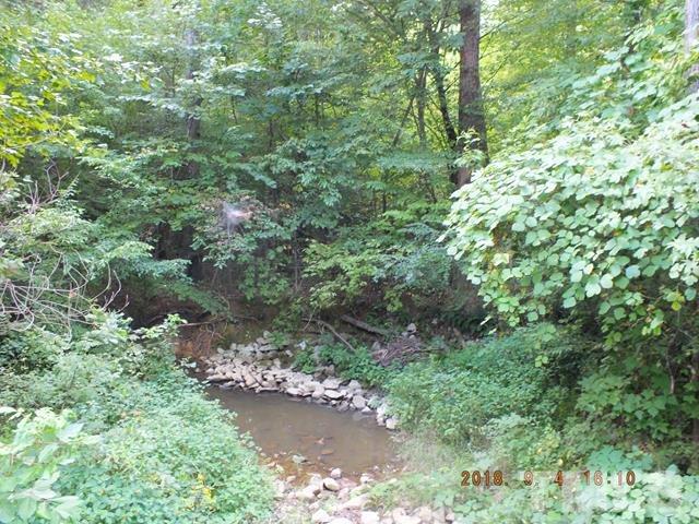 22 Grey Fox Run Road Timberlake, NC 27583 - Photo 3 of 3