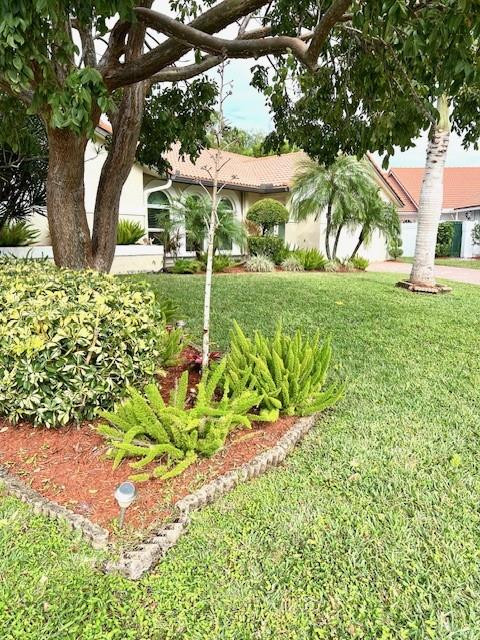 23341 Lago Mar Circle Boca Raton, FL 33433 - Photo 43 of 50 Beautifully landscaped yard