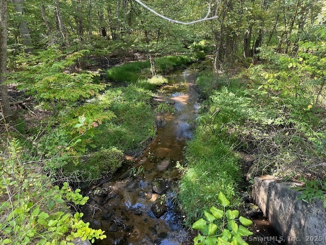 87 Fort Shantok Road Montville, CT 06382 - Photo 2 of 7 a view of a forest with a tree
