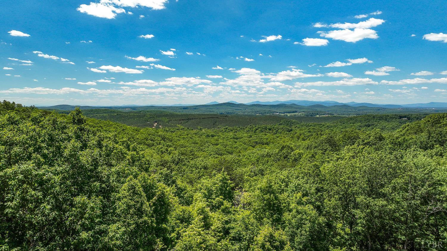 585 Cresthill Road Lynchburg, VA 24504 - Photo 46 of 48