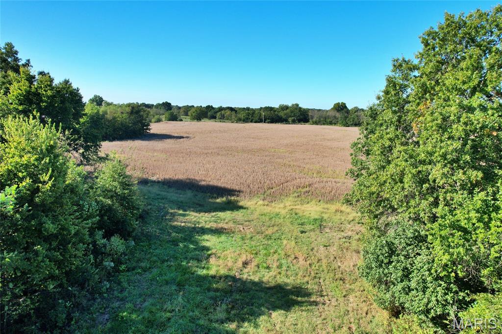 0 Wood Road La Monte, MO 65337 - Photo 10 of 12 Gallery Image 10