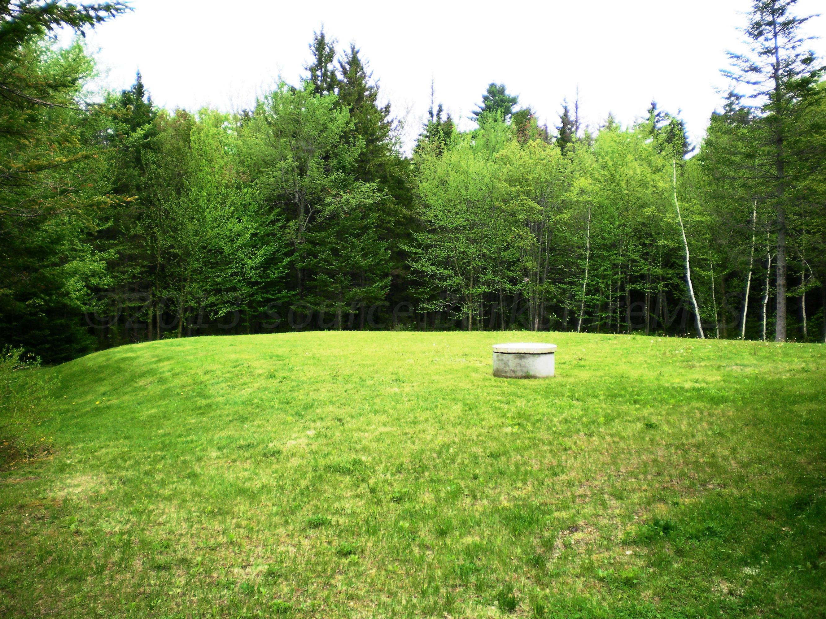 27 East Windsor Road Peru, MA 01235 - Photo 7 of 8 a view of a green field