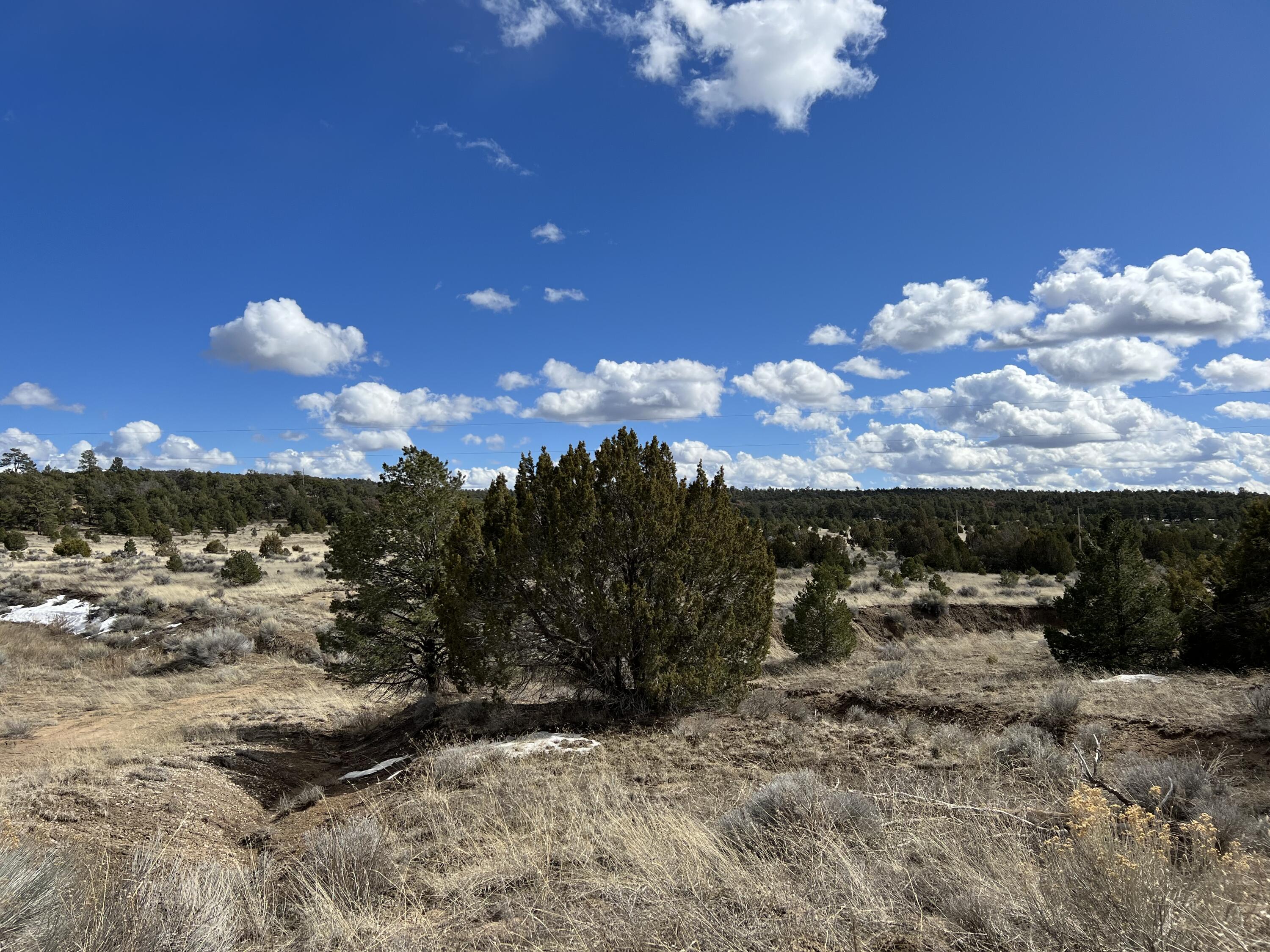 Lot 14 Candy Kitchen Road Ramah, NM 87357 - Photo 16 of 41 Gallery Image 16