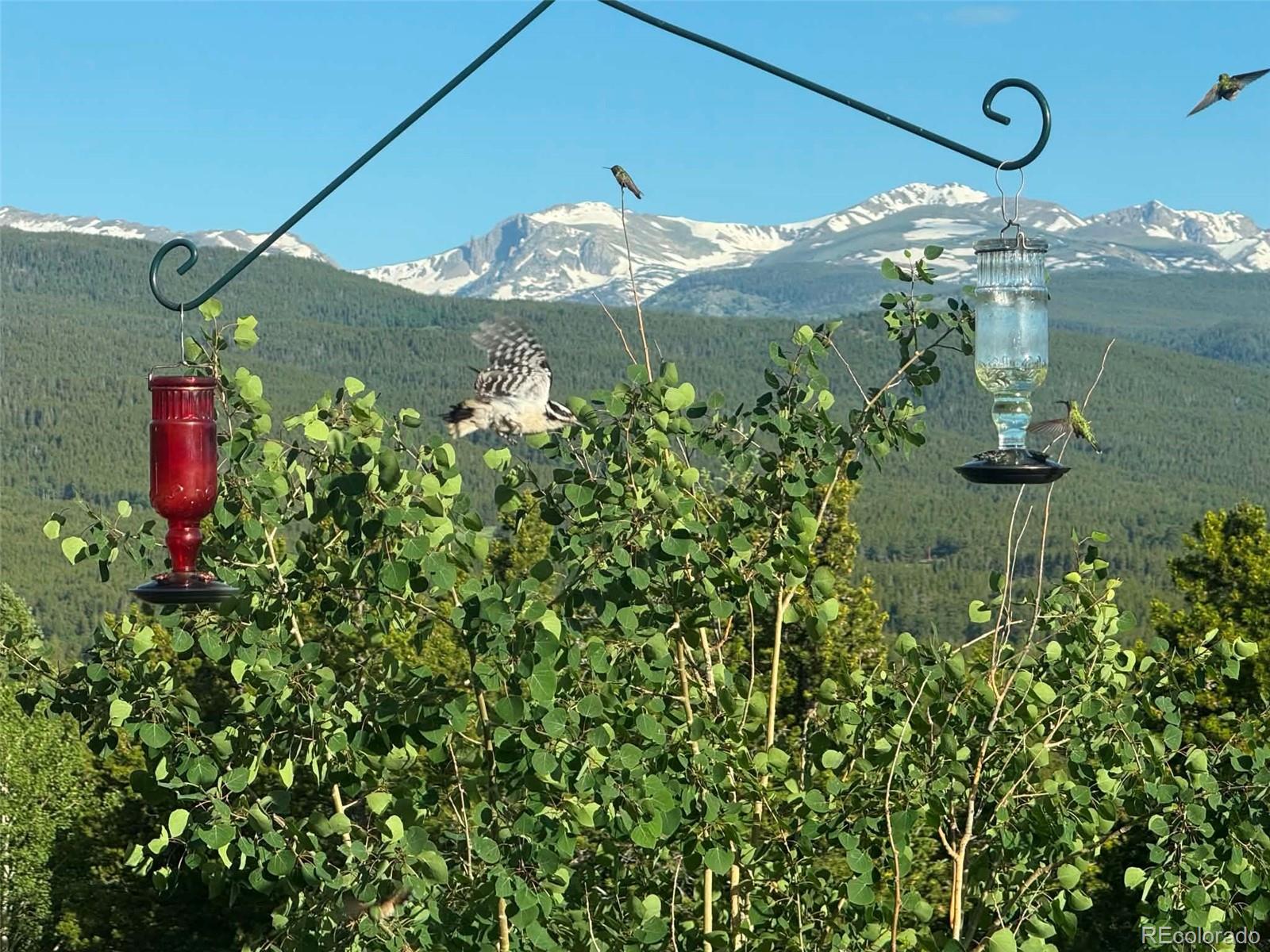 480 North County Road Rollinsville, CO 80474 - Photo 47 of 49