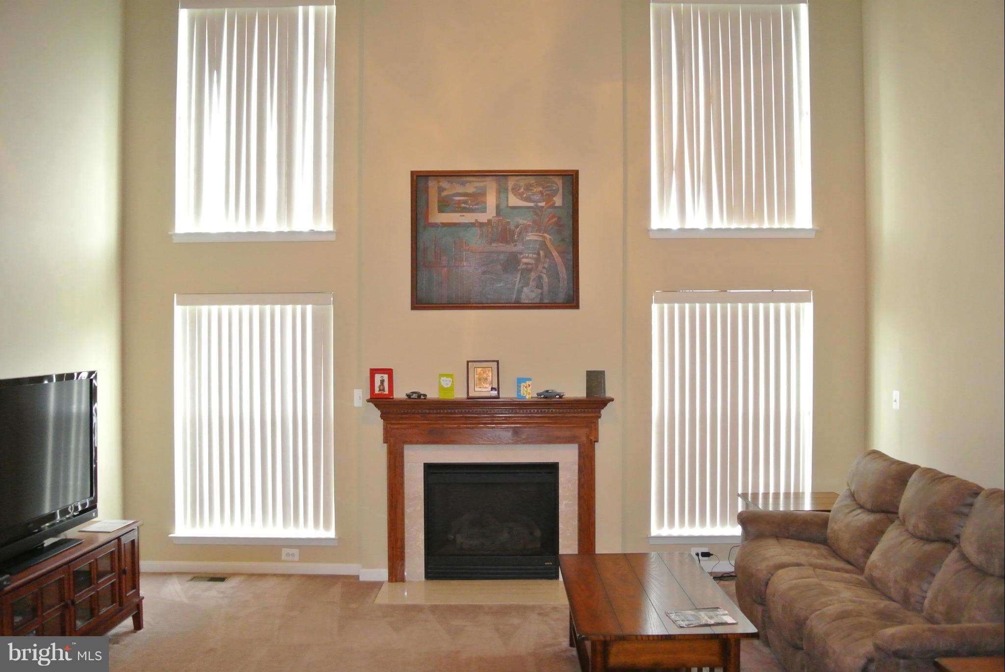 775 Holly Leaf Road Culpeper, VA 22701 - Photo 9 of 30 Family Room