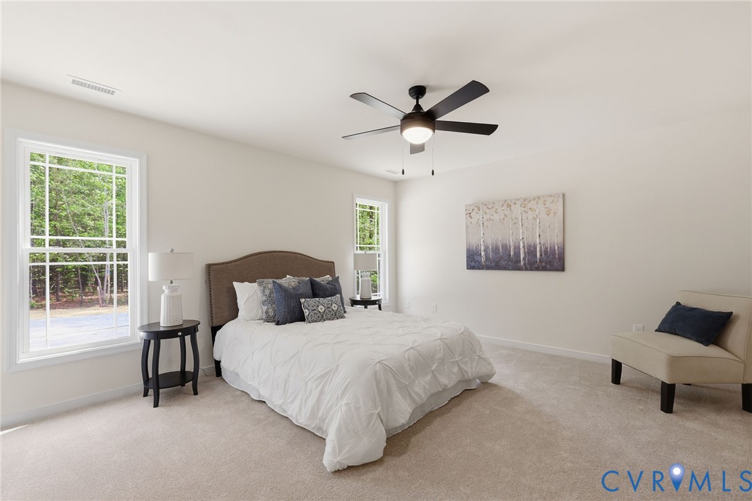 2460 Ballsville Road Powhatan, VA 23139 - Photo 22 of 55