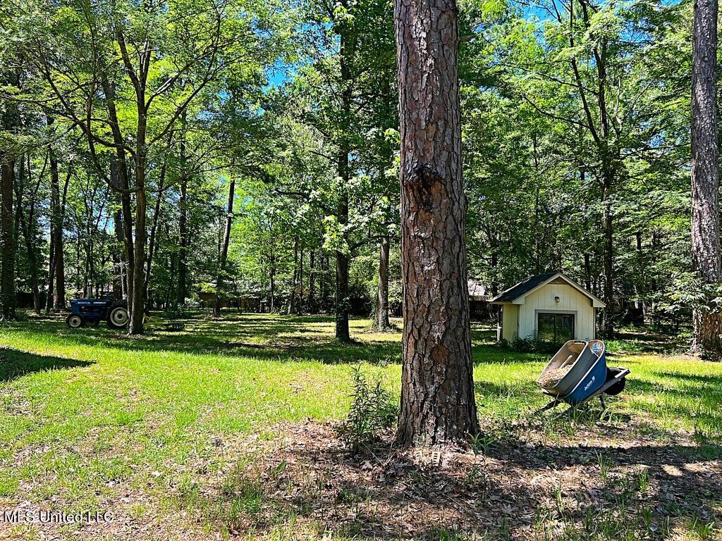6442 Manship Road Brandon, MS 39047 - Photo 4 of 51 2BAAB8E5-4F0B-4AD7-970C-EC743D433995_1_1