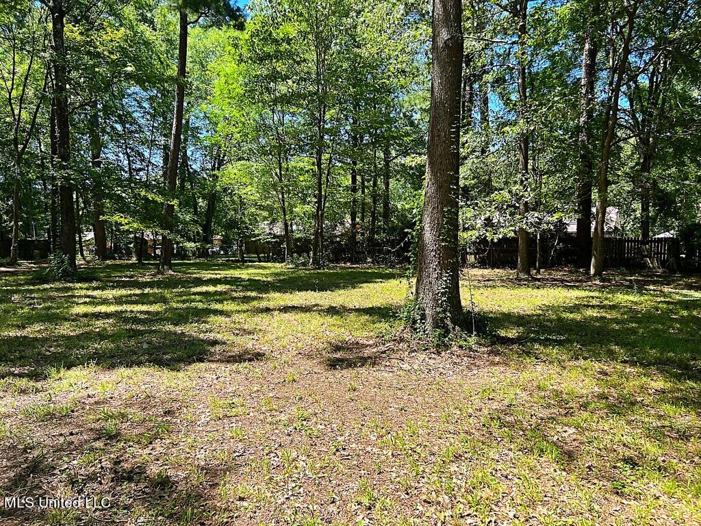 6442 Manship Road Brandon, MS 39047 - Photo 5 of 51 C6B39309-C211-40EB-826A-6D42857684E9_1_1