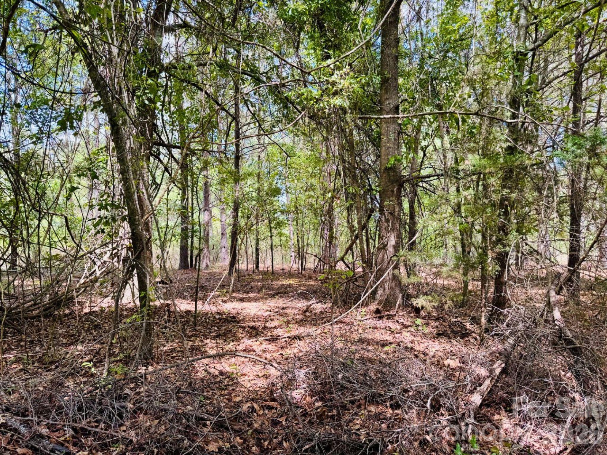 385 Elbert Baskins Road Cheraw, SC 29520 - Photo 7 of 11 Gallery Image 7