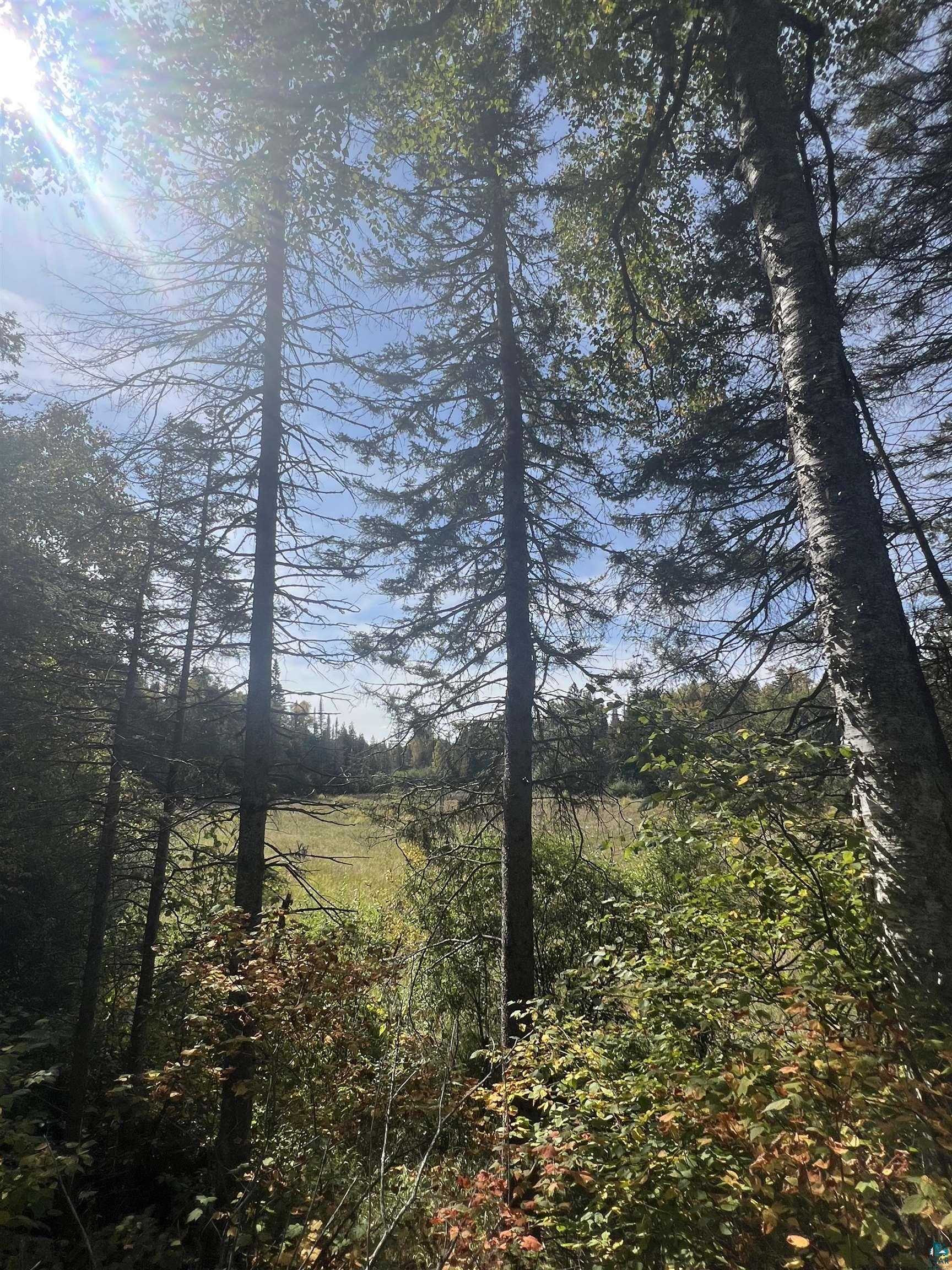 26 Rd Finland Mn 55603 Road Silver Bay, MN 55614 - Photo 10 of 25