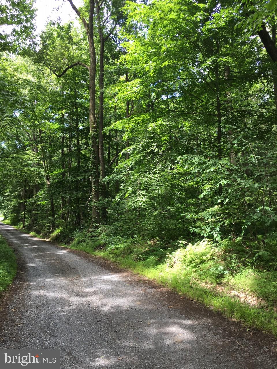 0 Township Line Road Elverson, PA 19520 - Photo 2 of 4 Gallery Image 2