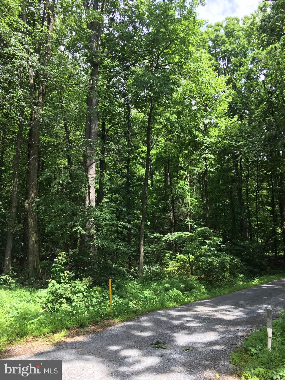 0 Township Line Road Elverson, PA 19520 - Photo 3 of 4 Gallery Image 3