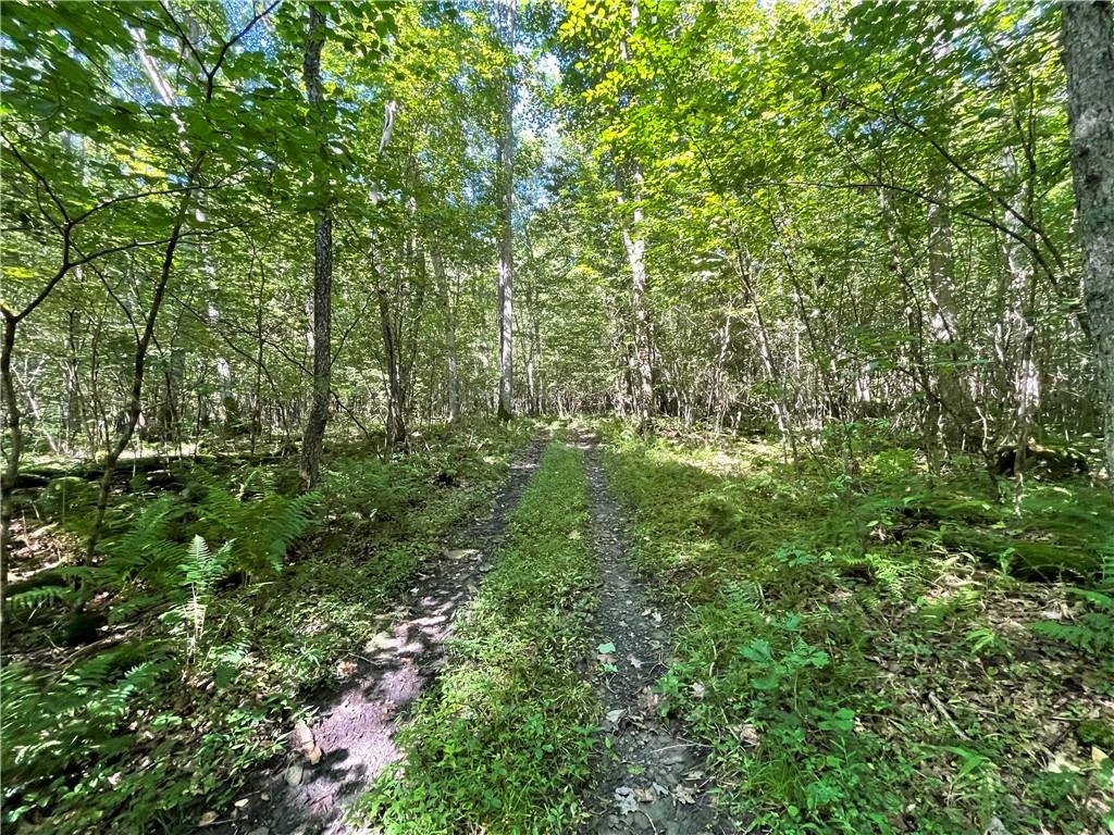 0 Burke Road Farmington, PA 15437 - Photo 11 of 12 Gallery Image 11